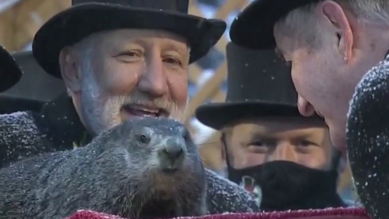 Groundhog Day: Punxsutawney Phil sees his shadow, predicts 6 more weeks of winter - Choice Clips | Trends